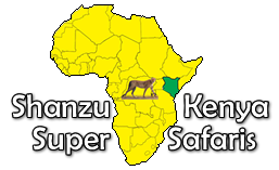 Shanzu Kenya Super Safaris